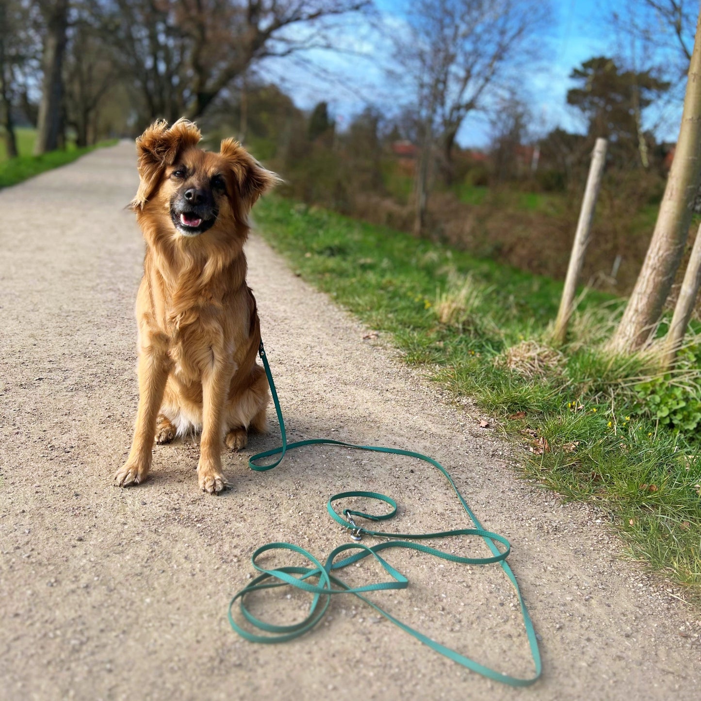 BOUNDLESS Leash 10mm