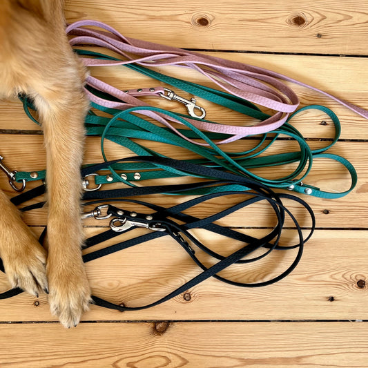 BOUNDLESS Leash 10mm